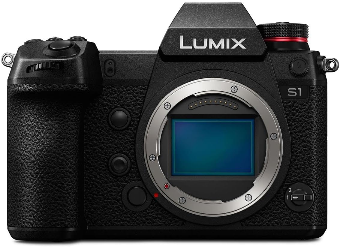 Panasonic Lumix DC-S1 Body