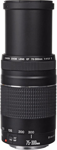 Canon EF 75-300mm f/4.0-5.6 III