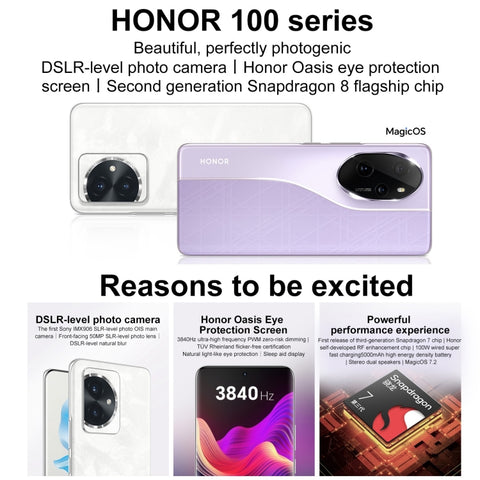 Honor 100 5G MAA-AN00 Dual SIM 16GB+512GB (China Version)