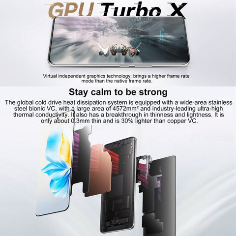 Honor 100 5G MAA-AN00 16GB+256GB (China Version)